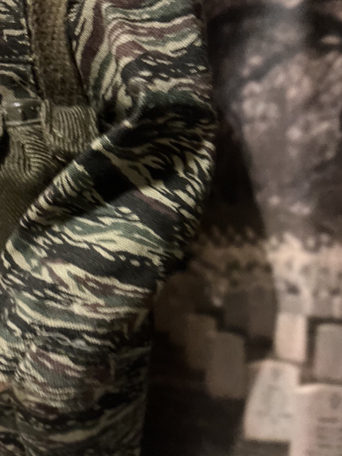 U.S. NAVY SEAL VIETNAM ERA TIGER STRIPE UNIFORM COTSWOLD ELITE BRIGADE 12″
