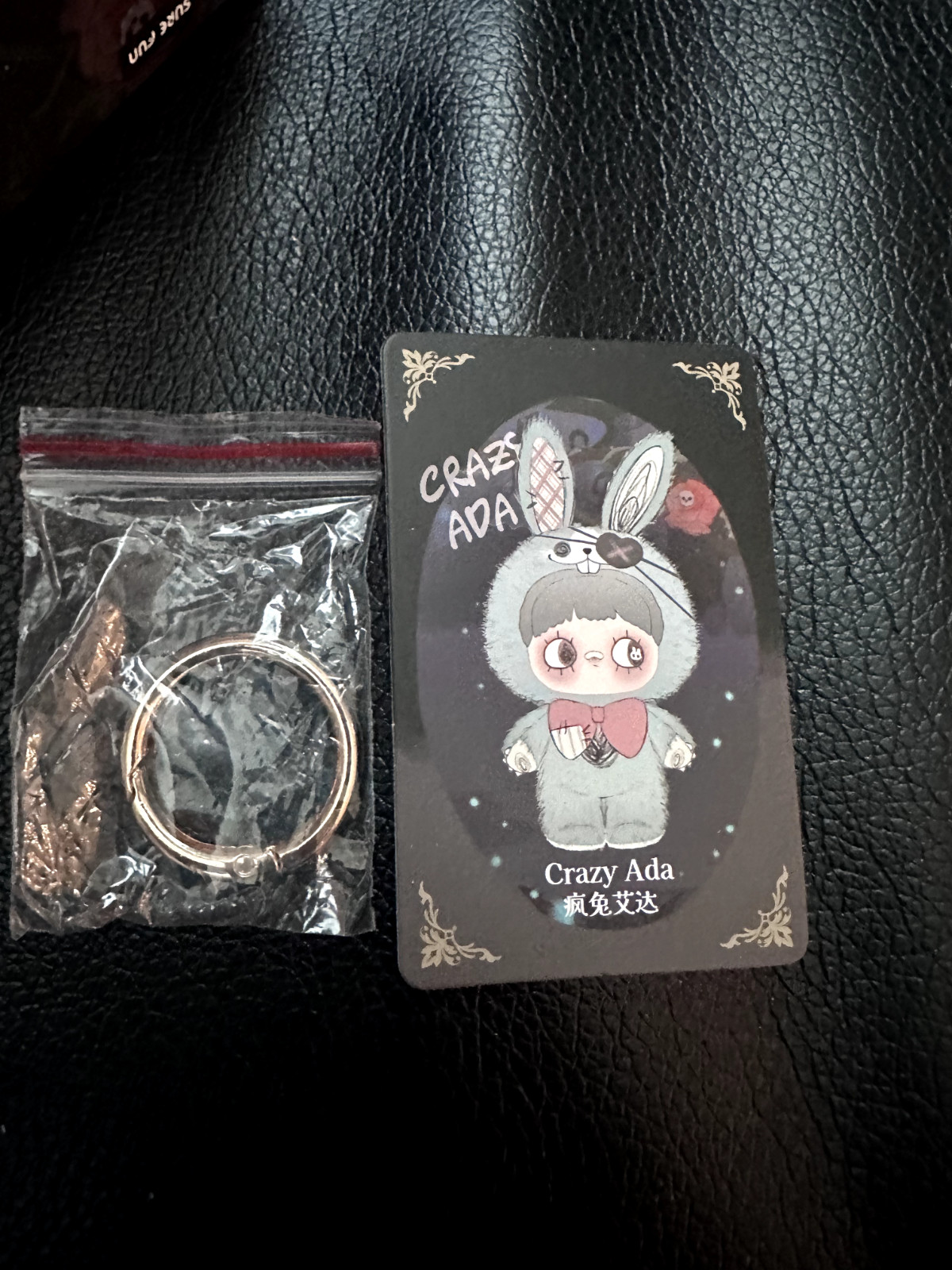 ONE (1) CONFIRMED BOX OF MAYMEI DARK FOREST PLUSH PENDANT SERIES