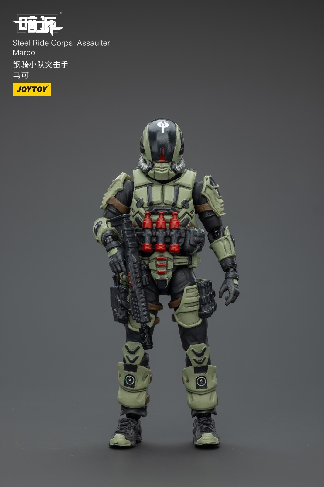JOYTOY 1:25 action figures Army Steel Ride Corps Assaulter Marco 3in toys