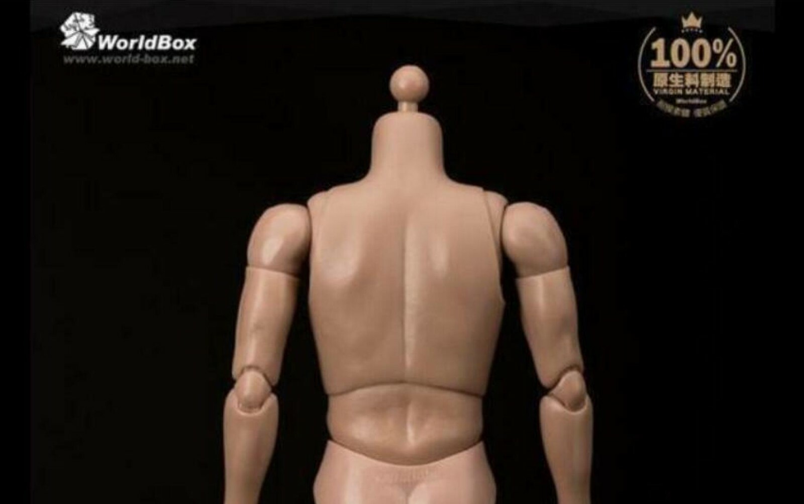 WORLDBOX AT011 1/6 narrow shoulder male nude body SUPER DURABLE ❶US seller❶