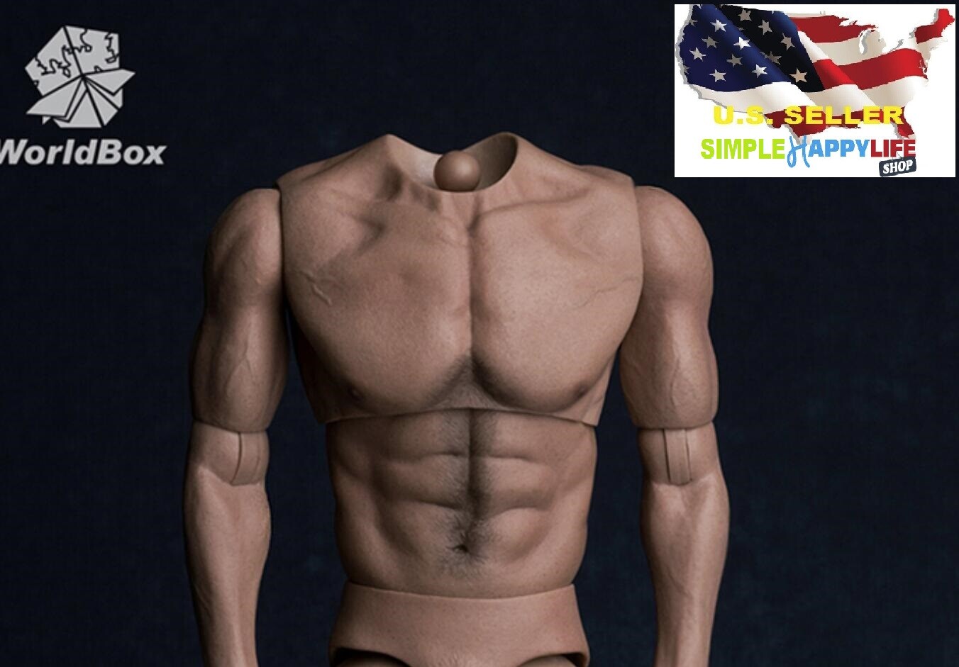 WorldBox AT017 1/6 Muscular No Neck Body Strong Durable 12″ FOR HOT TOYS ❶USA❶