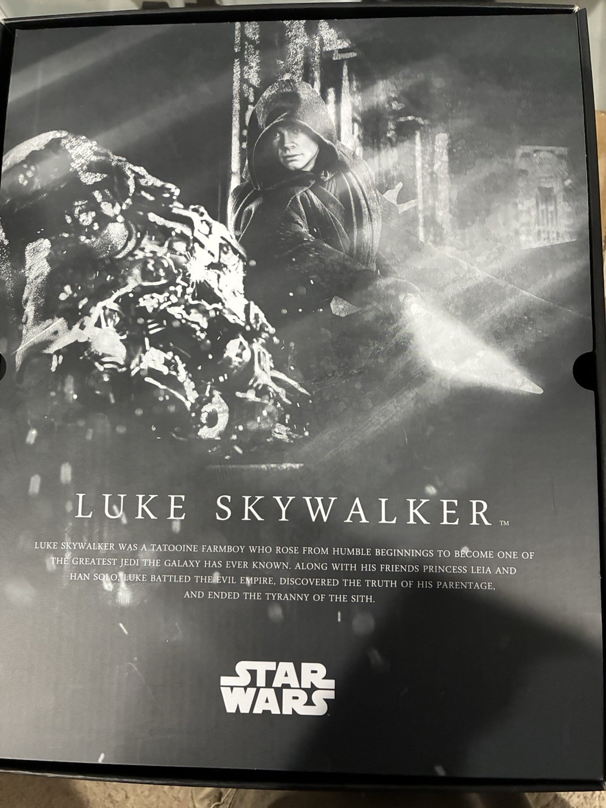 Hot Toys 1/6 STAR WARS LUKE SKYWALKER Exclusive DX23 *Read Description*