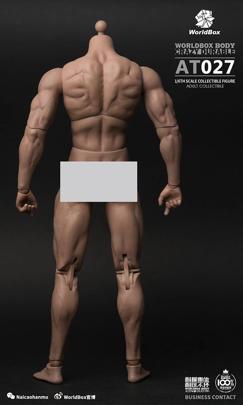 WorldBox World Box 1/6 Scale 12″ Crazy Durable Male Body WB-AT027 New