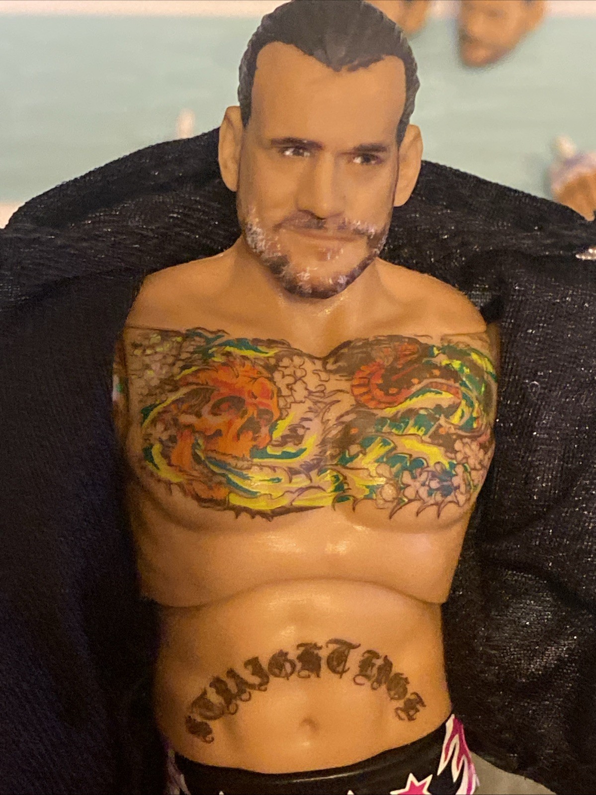WWE CM Punk Ultimate Edition Series 27 figure 100% Complete.