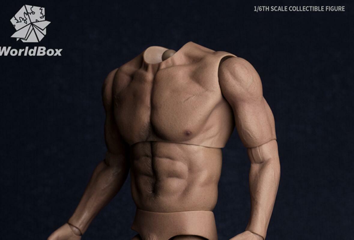 WorldBox AT017 1/6 Muscular No Neck Body Strong Durable 12″ FOR HOT TOYS ❶USA❶