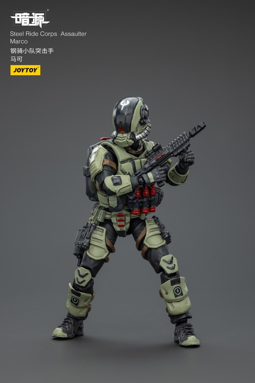 JOYTOY 1:25 action figures Army Steel Ride Corps Assaulter Marco 3in toys