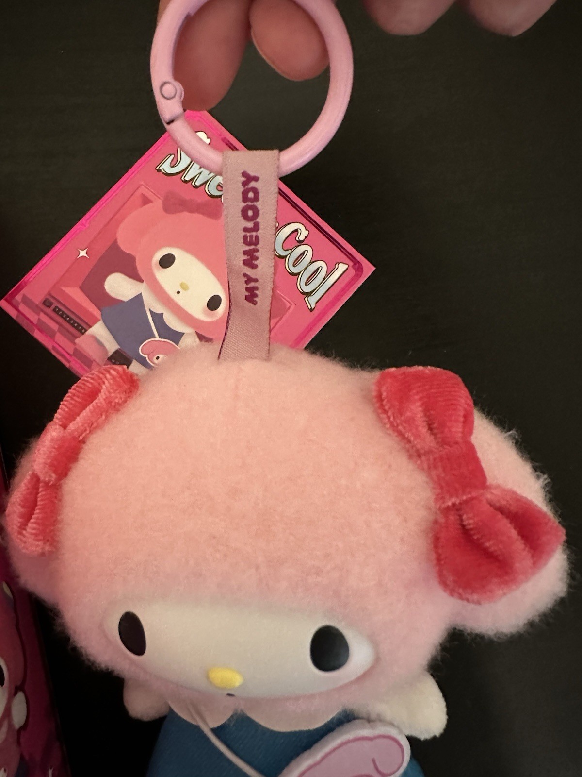 MINISO Hello Kitty & Friends Sweet & Cool Plush Pendant Blind Box My Melody