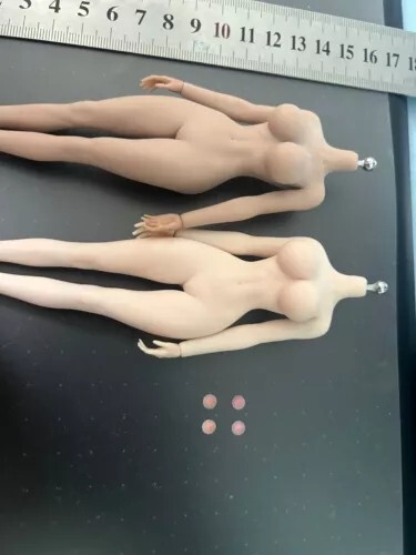 1/12 Female Nipple Breast Chest Vagina Patches Accessories For 6» Figure Body