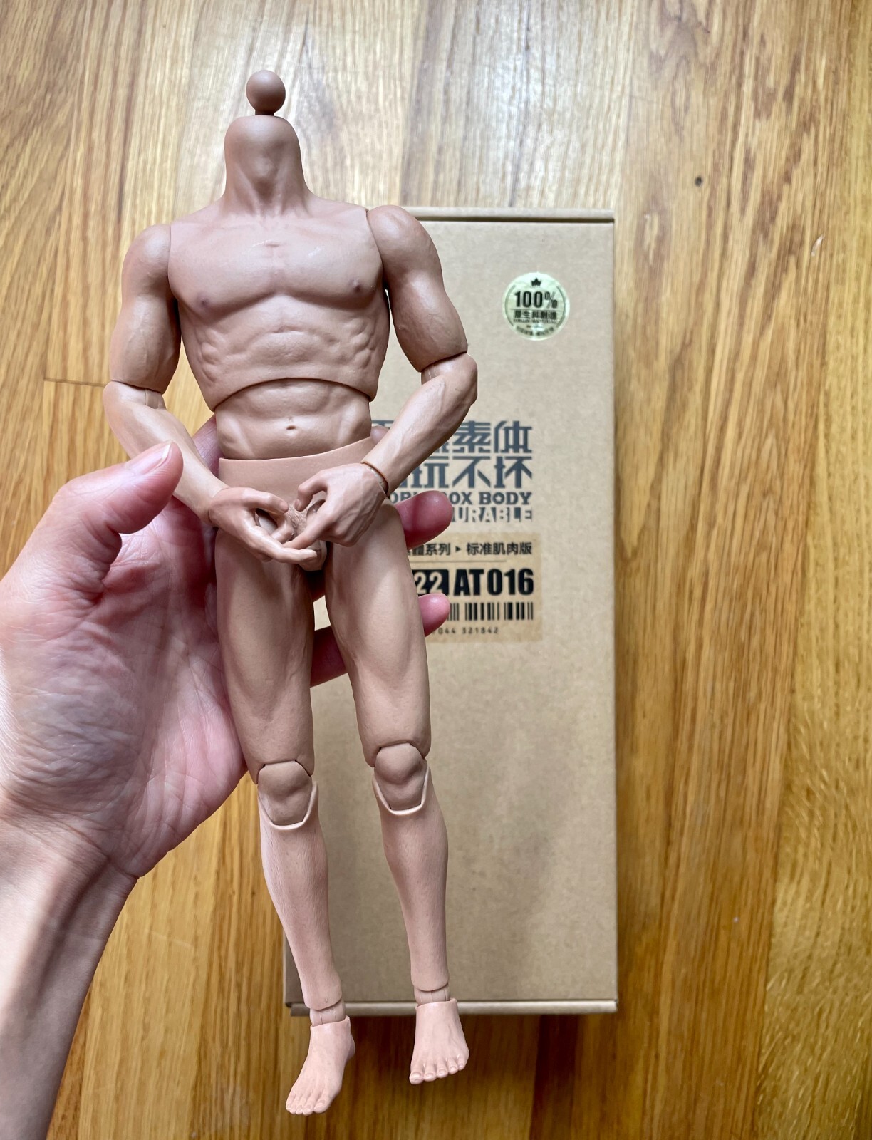 1/6 WORLDBOX AT016 Muscular Durable Body Super Strong 12″ Male Action Figure