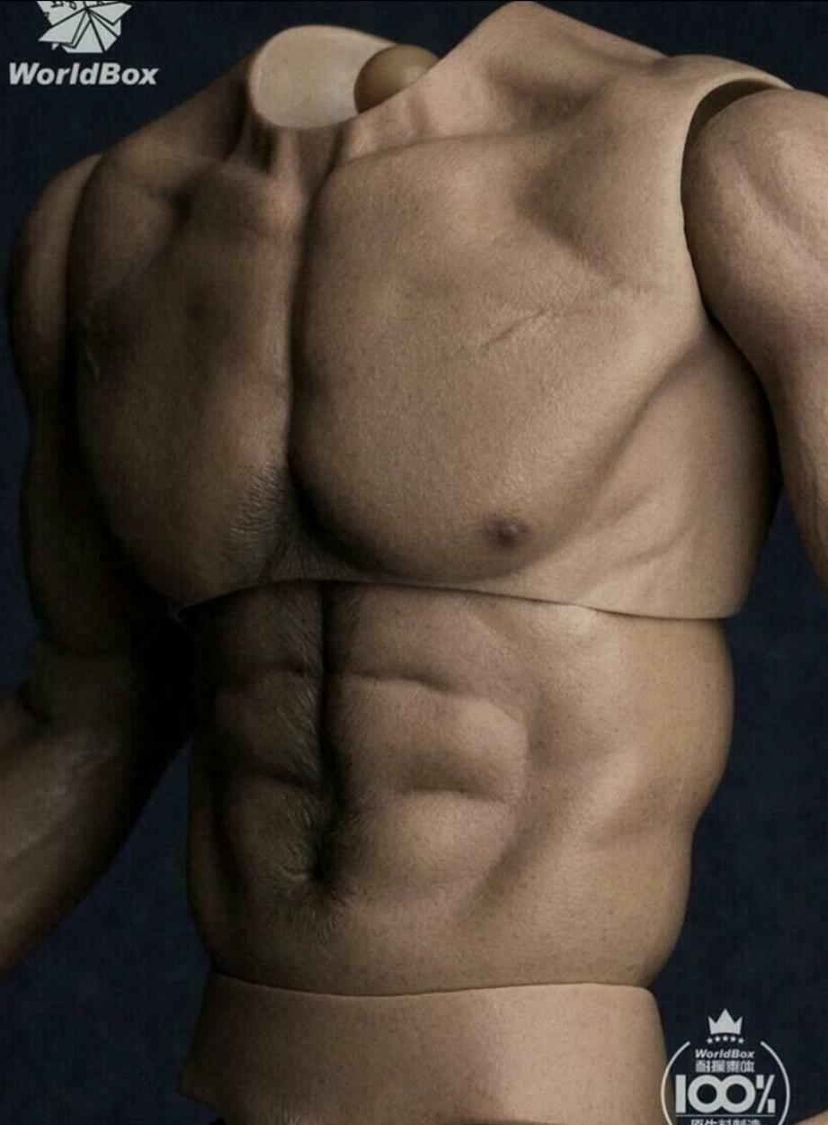 WorldBox AT017 1/6 Muscular No Neck Body Strong Durable 12″ FOR HOT TOYS ❶USA❶