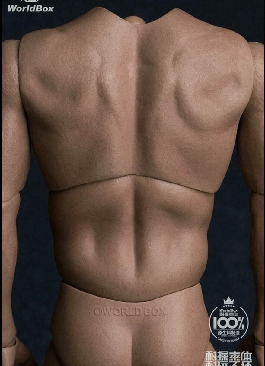 WorldBox AT017 1/6 Muscular No Neck Body Strong Durable 12″ FOR HOT TOYS ❶USA❶