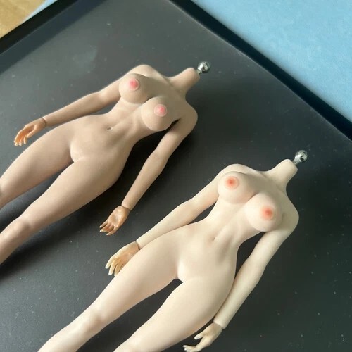 1/12 Female Nipple Breast Chest Vagina Patches Accessories For 6» Figure Body