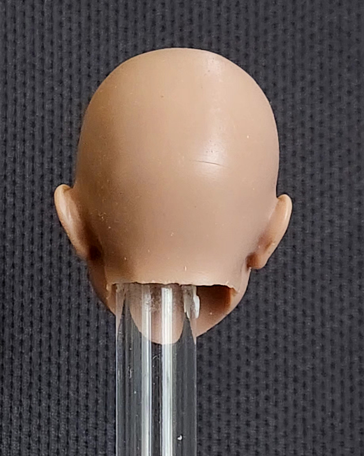 Custom Sydney Sweeney bald smiling Head Sculpt 1/18 1/12 1/10 1/6