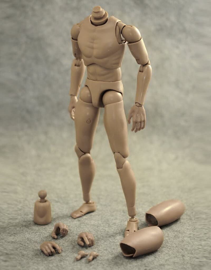 New 1:6 Scale Narrow Shoulder Male Body Action Figure for TTM18 TTM19 USA