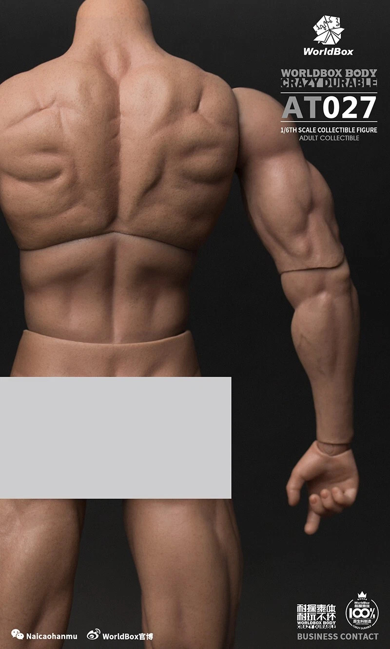 WorldBox World Box 1/6 Scale 12″ Crazy Durable Male Body WB-AT027 New