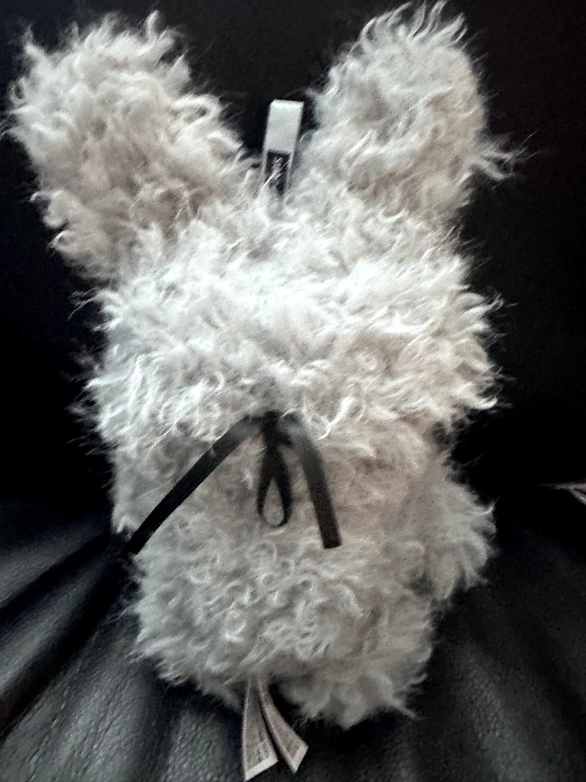 ONE (1) CONFIRMED BOX OF MAYMEI DARK FOREST PLUSH PENDANT SERIES