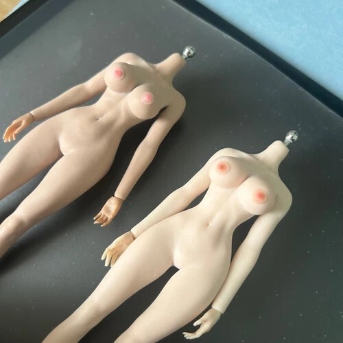 1/12 Female Nipple Breast Chest Vagina Patches Accessories For 6» Figure Body