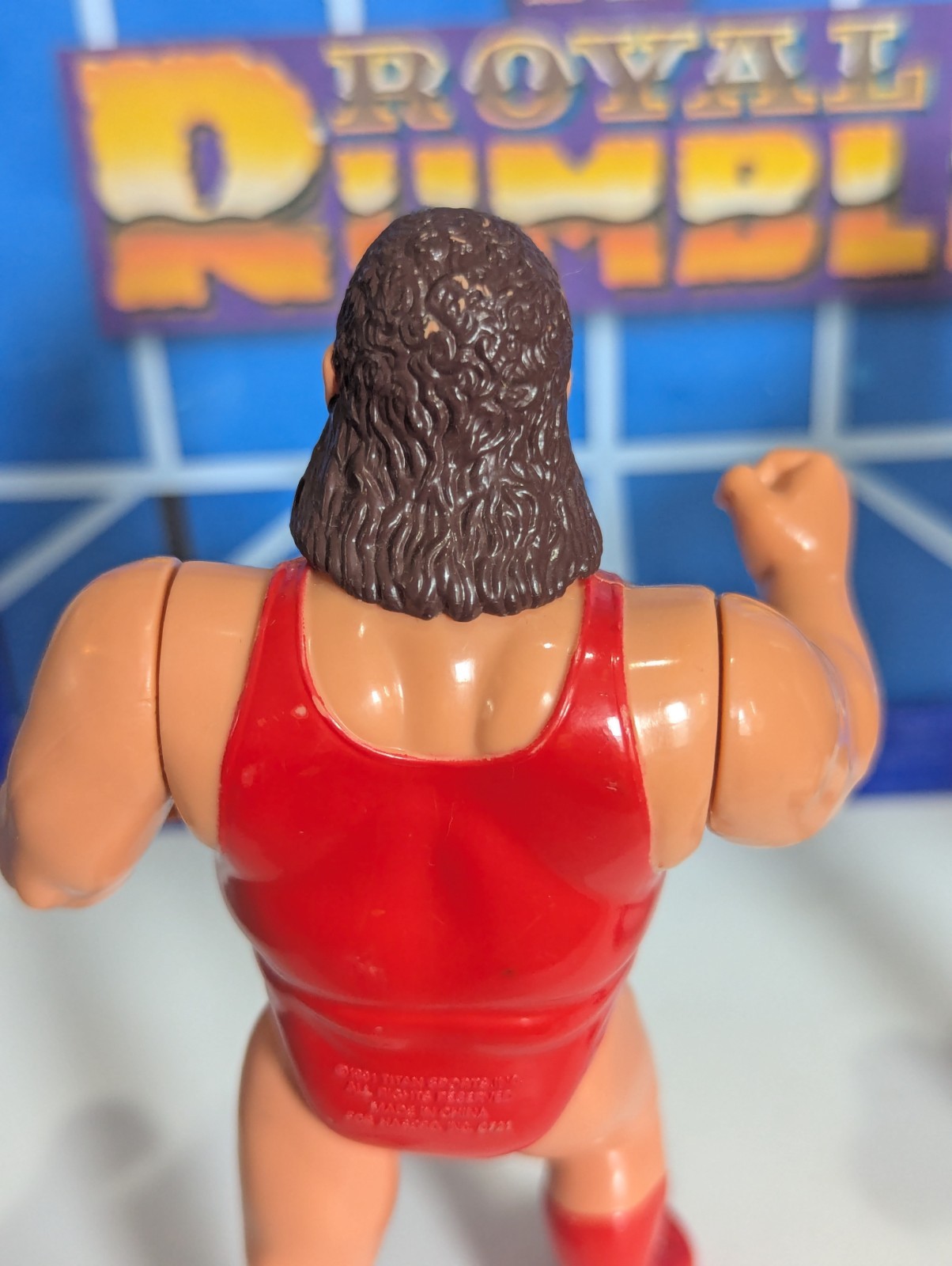 WWF Hasbro Natural Disasters – WWE Mattel LJN Titan Sports Vintage Wrestling