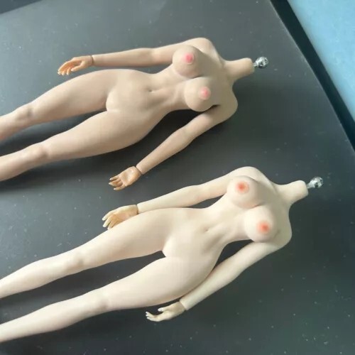 1/12 Female Nipple Breast Chest Vagina Patches Accessories For 6» Figure Body