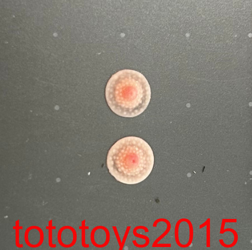 1/6 Nipple Breast Chest Bottom Patches Props Fit 12″ Female Action Figure Body